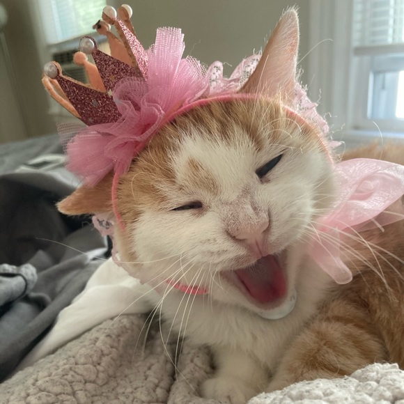 Meet your Posher, Robyn - Picture 1 of 1